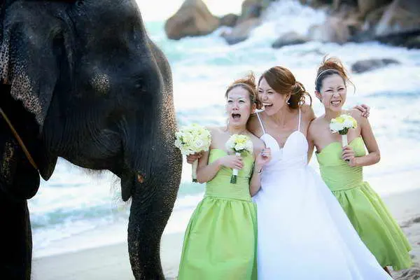 Koh Tao beach wedding,  bride and bride funny moment