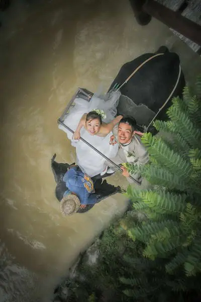 adventure pre-wedding couple form japan, riding on the elephant